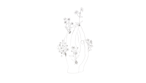 Open Garden Days - Entanglements